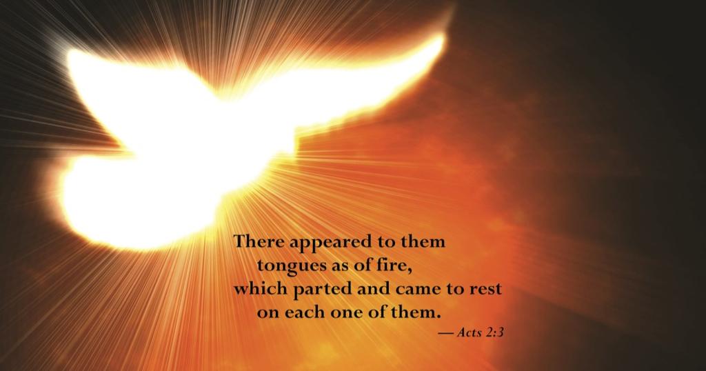 READINGS FOR THE WEEK Monday: Tb 1:3; 2:1a-8; Ps 112:1b-2, 3b-6; Mk 12:1-12 Tuesday: Tb 2:9-14; Ps 112:1-2, 7-9; Mk 12:13-17 Wednesday: Tb 3:1-11a, 16-17a; Ps 25:2-5ab, 6, 7bc-9; Mk 12:18-27