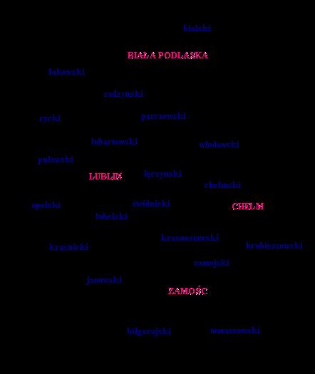 I. SYTUACJA DEMOGRAFICZNA 1. Położenie geograficzne i powierzchnia Lublin jest największym miastem w Polsce wschodniej (po prawej stronie Wisły).