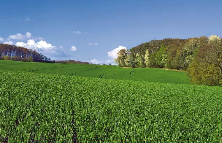 3,0 l/ha 2,0 l/ha 1,0 l/ha Stosowanie w zespole uprawek ścierniskowych lub przed