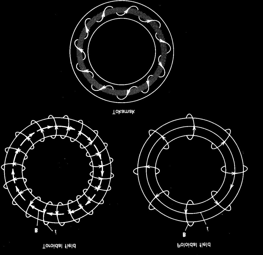 Tokamak (ros.