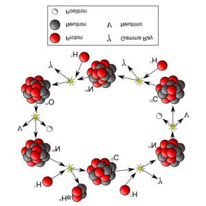 Synteza jąder lekkich w gwiazdach Cykl węglowo-azotowy (CNO): 12 C + 1 H 13 N + γ 13 N 13 C + e + + n + g 13 C + 1 H 14 N + γ 14 N + 1 H 15 O +