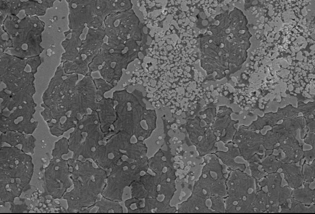 Badanie własności fizycznych i mechanicznych infiltrowanych kompozytów a 10 µm b zliczenia WC M 6 C zliczenia 5 µm