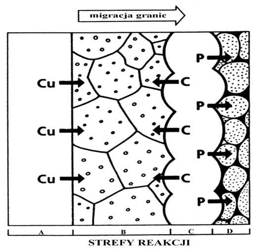 Spiekanie stali szybkotnących Cu-P stal Rys. 3.6 Model migracji do stali z granicy stal szybkotnąca miedź bogatych w Ŝelazo fosforków, przez dyfuzję w stanie stałym w temperaturze ok.