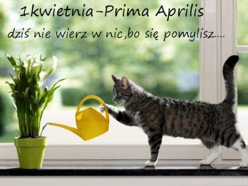 Prima Aprilis Prima Aprilis, czyli Dzień Żartów, jest jednym z moich ulubionych świąt. To obyczaj obchodzony 1 kwietnia w wielu krajach. Polega on na wzajemnym oszukiwaniu się i robieniu sobie żartów.