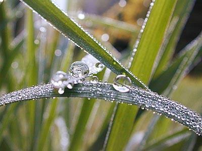 Temperatura, do której należy ochłodzić powietrze zachowując stałe ciśnienie, żeby osiągnąć stan nasycenia para wodną.