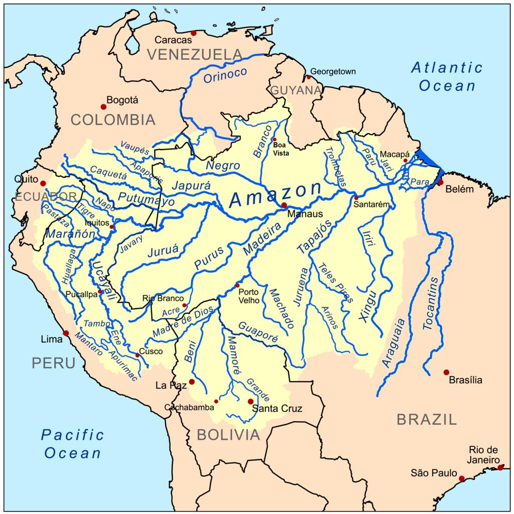 dowskiego, (posiada on polskie korzenie). Rzeźba waży tysiąc sto czterdzieści pięt ton. Amazonka jest to największa rzeka na całym świecie.