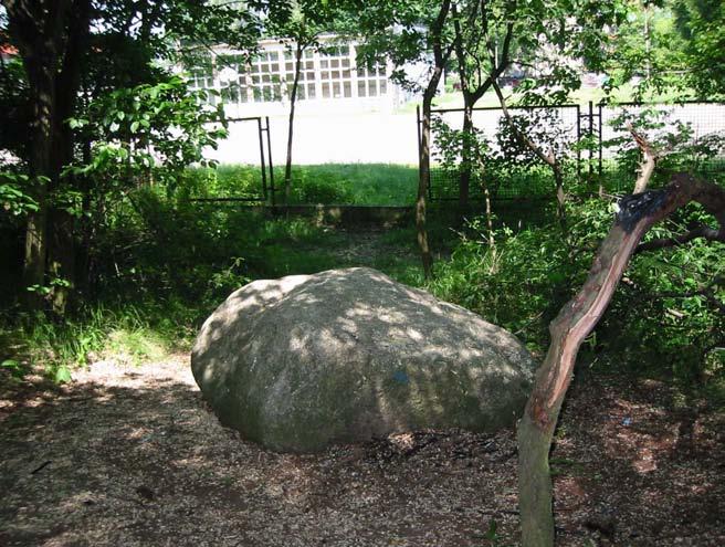 Pomniki przyrody nieożywionej. Pomnikami przyrody nieożywionej mogą być jaskinie, głazy narzutowe 4, tzw. erratyki oraz interesujące formy powierzchni ziemi np.