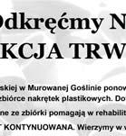 Wielkopolski Zarząd Wojewódzki Związku Kombatantów Rzeczypospolitej Polskiej i Byłych Więźniów Politycznych w Poznaniu, Koło w Murowanej Goślinie nr KRS.