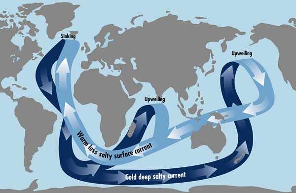 3.06. Migracja zanieczyszczeń w wodach Globalna cyrkulacja wód oceanu światowego niebezpieczeństwo rozprzestrzenienia zatopionych odpadów komunalnych i przemysłowych na całym globie niebezpieczeństwo