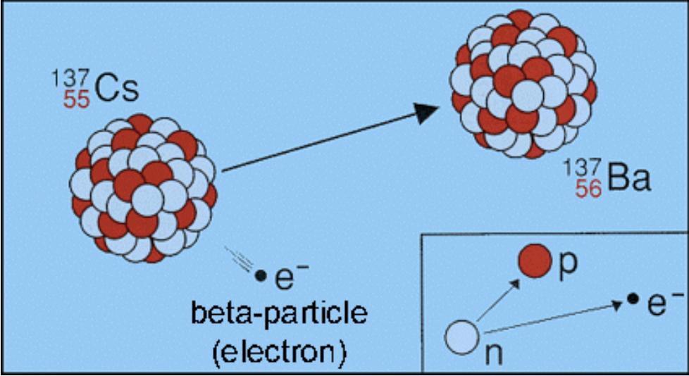 Rozpad β ± rozpad β neutronu w jądrze 137 55 Cs 137 56 Ba + e + νe rozpad β + protonu w