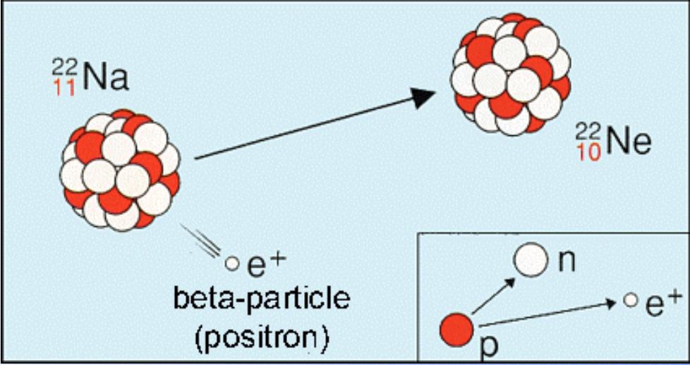 1034 lat. I Swobodny neutron ulega rozpadowi β z czasem T1/2 = 885.6 s.