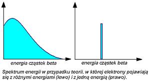 Neutrina Elektrycznie obojętne neutrino bardzo słabo oddziałujące z materią (hipoteza Pauliego 1930, odkrycie 1955).