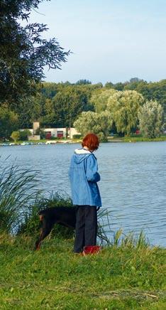 Ś R O D O W I S K O Czystość jezior i rzek Dokonując oceny jezior i rzek, poznaniacy wyrażali swoją opinię na temat czystości wody w poznańskich jeziorach i w Warcie.