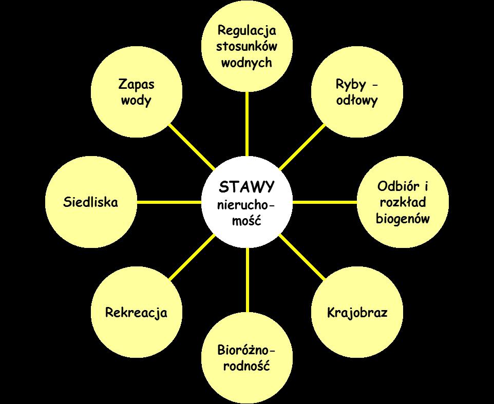 Kluczowe elementy stanowiące podstawę określenia wartości stawów: A. Z uwzględnieniem walorów B.