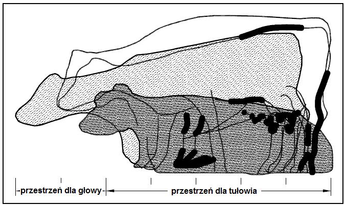 gnojowego, które umożliwiają łatwiejsze utrzymanie na nich czystości i nie koniecznie sa najlepszym rozwiązaniem z punktu widzenia samych zwierząt.