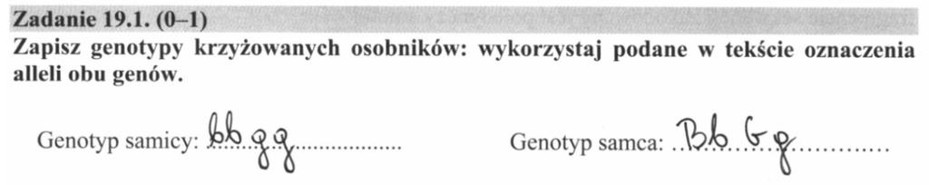 26 Sprawozdanie z egzaminu maturalnego 2016 2.