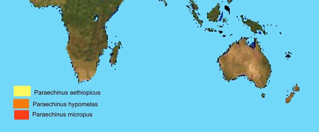 strona 5/5 W Polsce, w środowisku naturalnym, występują dwa gatunki jeży: Erinaceus europaeus - występujący w zachodnich województwach, Erinaceus roumanicus - występujący w województwach środkowych i