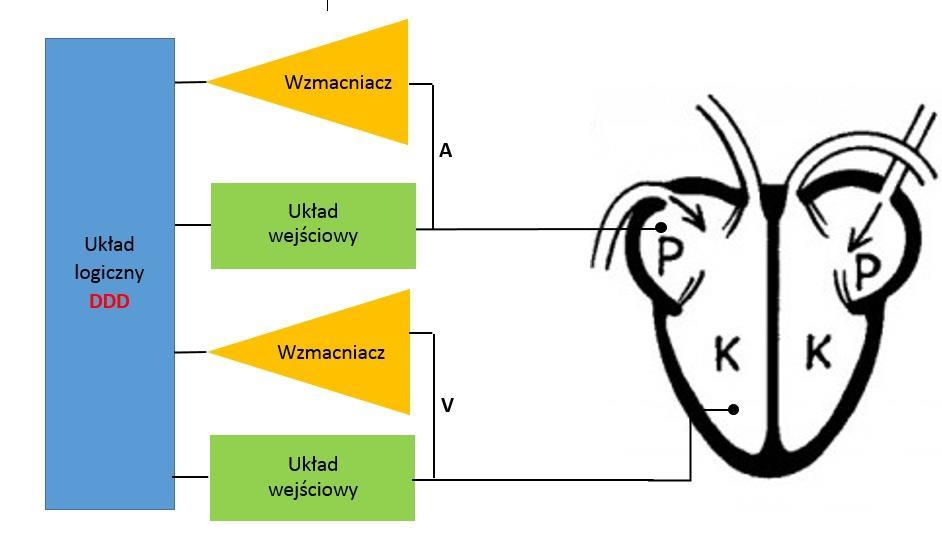 Schemat blokowy