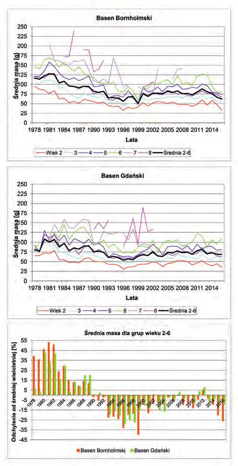 dorosłych (dojrzałych płciowo) może wynosić od około 15 do 20%. Ponadto II półrocze to sezon żerowania i wzrostu somatycznego śledzi.