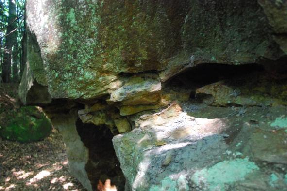 środowiska abiotycznego Park Krajobrazowy Pasma Brzanki