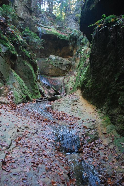 środowiska abiotycznego Ciężkowicko-Rożnowski Park Krajobrazowy Inwentaryzacja źródła - 9 obiektów formy