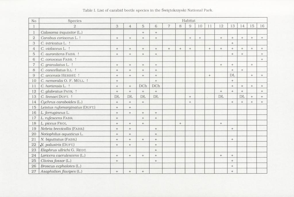 Table I. List of carabid beetle species in the Św iętokrzyski National Park. No Species H abitat 1 2 3 4 5 6 7 8 9 10 11 12 13 14 15 16 1 Calosoma inquisitor (L.) + + 2 C arabus coriaceus L.