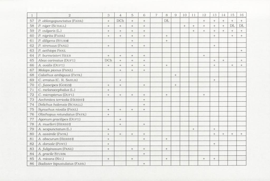 1 10 11 12 57 P. oblongopunctatus (Fa b r ) DCh DŁ 58 59 60 P. rtiger (S c h a l l) P. vulgaris (L.) P. nigrita (Fa b r ) 61 62 P. diligens (Sturm ) P. strenuus (Panz.) 63 64 65 P. aethiops Pa n z. P. burm eisteri H e e r A b a x carinatus (Du f t.