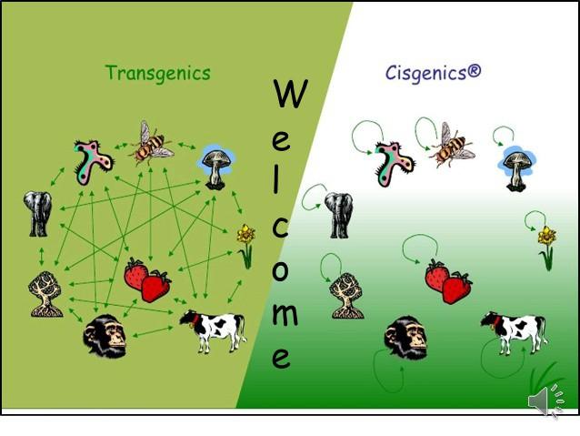 Cisgeneza i intrageneza Dwie nowe koncepcje transformacji genetycznej intra- i cisgeneza, w których wprowadzany materiał genetyczny pochodzi z tego samego gatunku rośliny lub z gatunku spokrewnionego