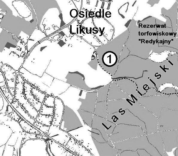 Największe bogactwo gatunkowe charakterystyczne jest dla lasów miejskich, gdzie do typowych odmian leśnych dołączają gatunki terenów otwartych (Czechowski 1989, Aleksandrowicz i Krzętowski 2004).