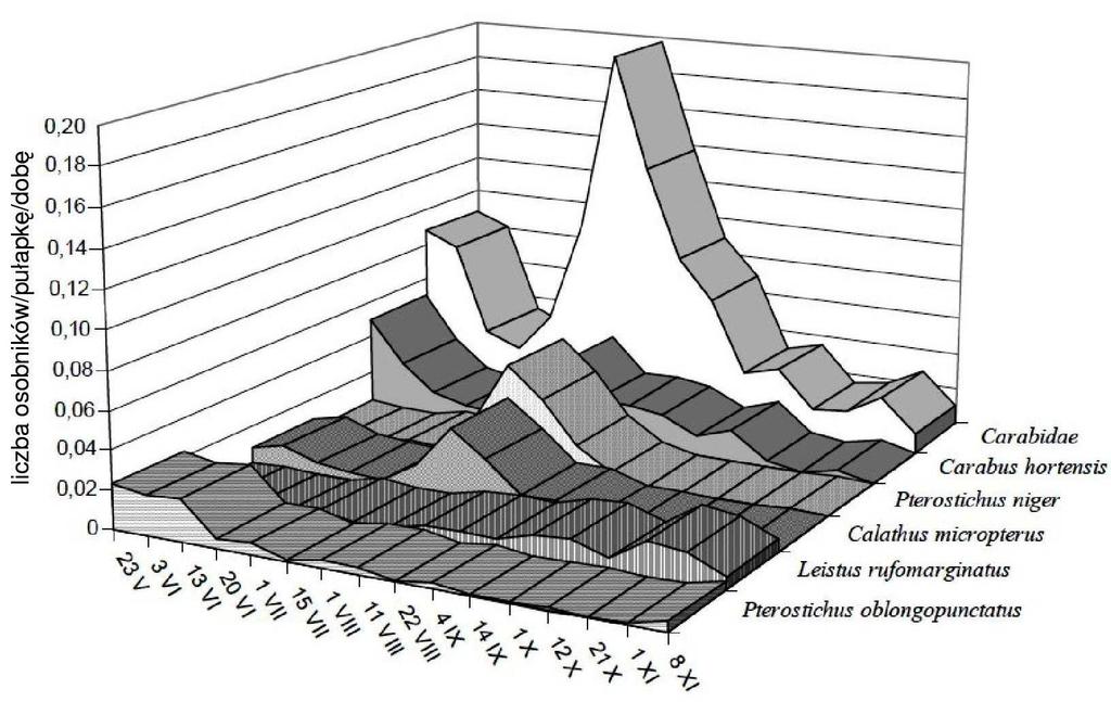 caraboides), 3 do recedentów (Leistus terminatus, Nebria brevicollis, Harpalus laeviceps) i 2 do grupy subrecedentów (Trechus secalis, Harpalus progredients).