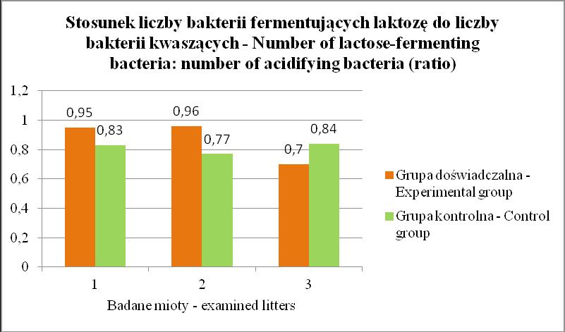 B. Napiórkowska i wsp. Rys. 6. Stosunek coli/lacto Fig. 6. Coli/lacto ratio w jelitach prosiąt doświadczalnych, co jest trudne do wytłumaczenia.