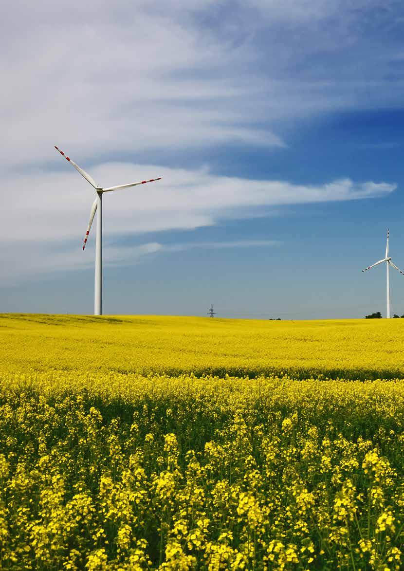 Polskie Stowarzyszenie Energetyki Wiatrowej Stan energetyki wiatrowej w Polsce w 2016 roku The