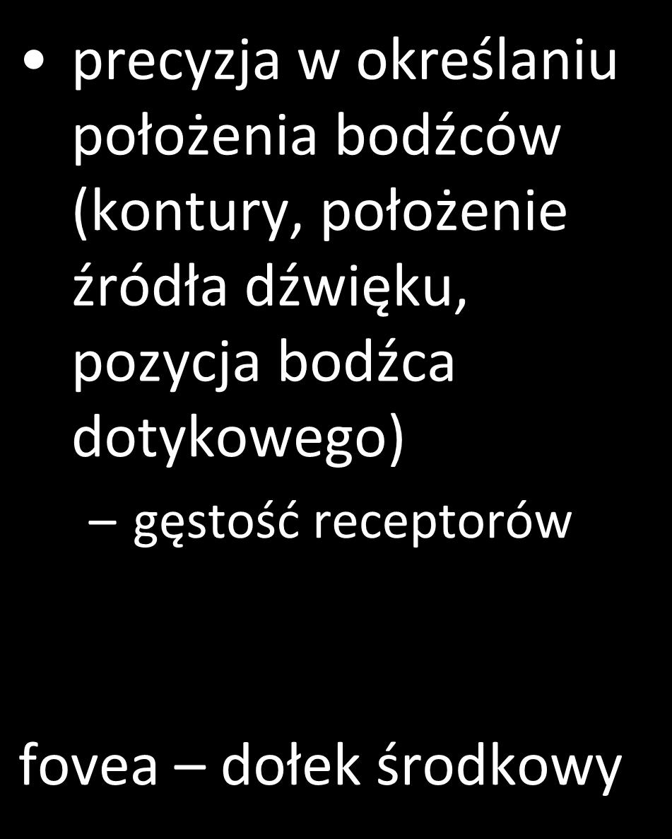 precyzja w określaniu położenia bodźców