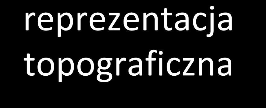 reprezentacja topograficzna informacje