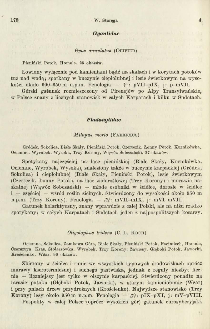 178 W. Staręga 4 Gyantidae Gyas annulatus (O l i v i e r ) P ieniński P otok, Homole. 25 okazów.