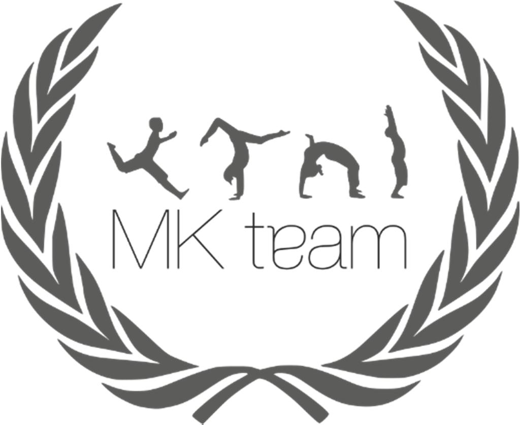 Grand Prix MK team Promocyjne zapisy II Siemianowicki Bieg Świetlików to drugi bieg Grand Prix MK team 2017.