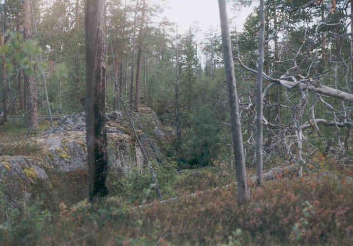 Schemat budowy strefy kolizyjnej Laplandzkiego Pasa Granulitowego Kola (wg Bogdanova i Efimow, 1993). Objaśnienia: 1. skorupa kontynentalna, 2. litosfera podskorupowa, 3.