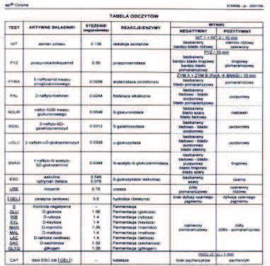 Ćwiczenie 4. Identyfikacja szczepów Corynebacterium spp.