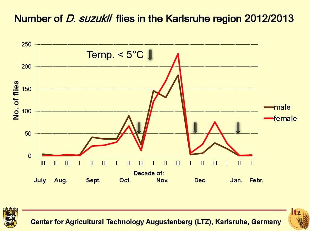 Liczba owadów Liczba owadów D. suzukii odłowionych w Karlsruhe w 2012-2013 roku Temp.