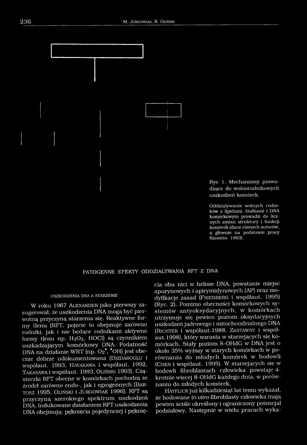 PATOGENNE EFEKTY ODDZIAŁYWANIA RFT Z DNA USZKODZENIA DNA A STARZENIE W roku 1967 A l e x a n d e r jako pierwszy zasugerował, że uszkodzenia DNA mogą być pierwotną przyczyną starzenia się.