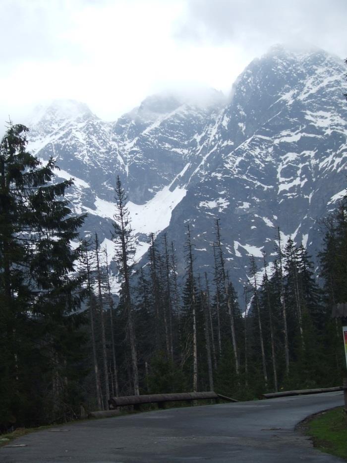 szczęście spacer po Krupówkach pozwolił zapomnieć o bujaniu w obłokach, a dokładnie na krzesełkach kolejki linowej Kocham Tatry. Kocham ich pustkę i milczenie, ich martwość o spokój posępny.