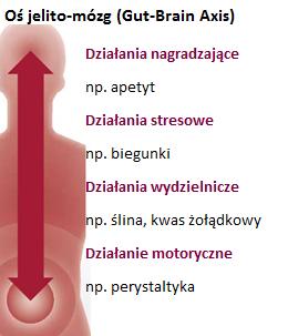 towarzyszące środki takie