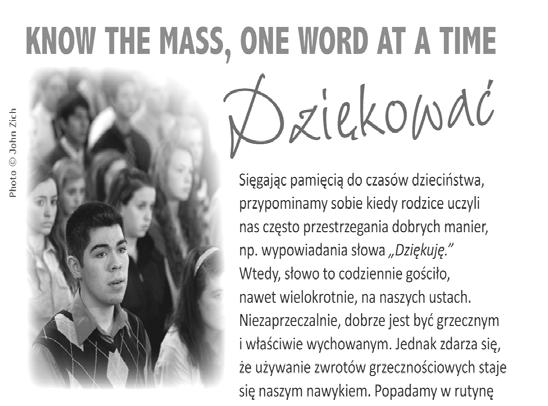 Gdy Ojciec pośle do was w moim imieniu Pocieszyciela Ducha Świętego to On wszystkiego was nauczy i przypomni to, czego was wcześniej uczyłem.