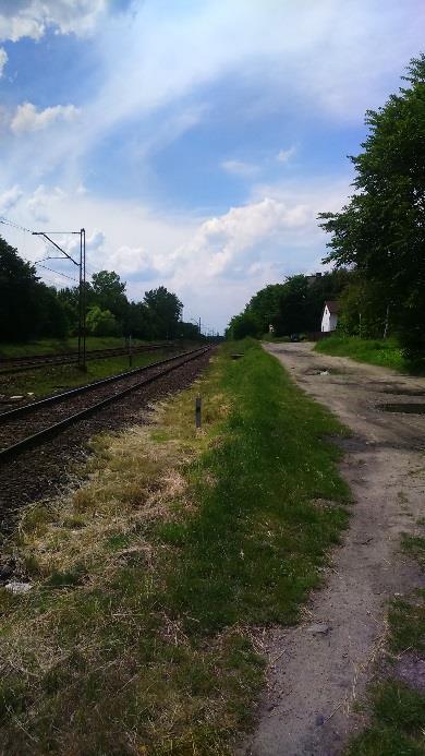 problemów przestrzenno-funkcjonalnych, niską jakością przestrzeni oraz słabą dostępnością. Podobszary te zajmują powierzchnie 21,01 ha, co stanowi 0,14% powierzchni Gminy Olkusz.