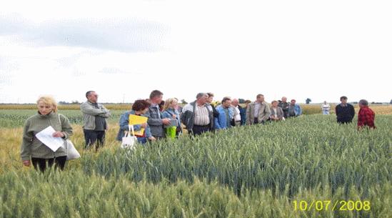 maksymalną dokładność tj.