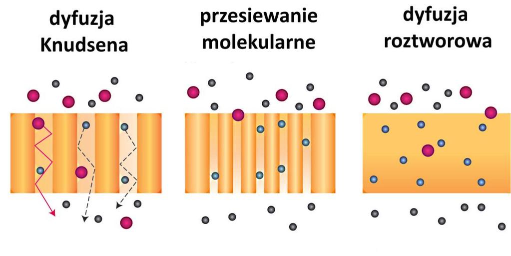 Membrany tlenkowe do separacji gazów Warstwa tlenkowa na podłożu metalicznym Mechanizmy