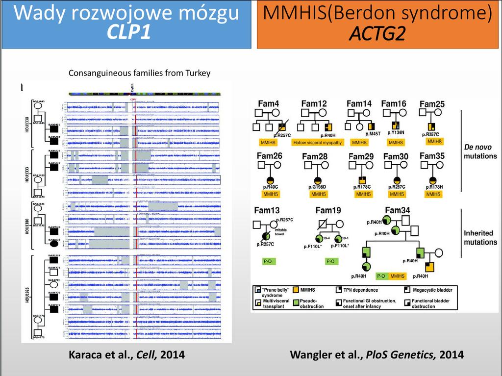 Odkrycia nowych genów chorobowych ZSI-Bio