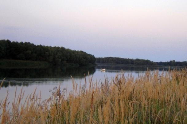 Wiele miejsc sprawia wrażenie, że noga ludzka jeszcze tu nie stanęła. Dno rzeki na tym odcinku jest urozmaicone, począwszy od żwirowego przez Fot 1 Odra przed zaporą w Wałach.