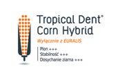 znakomita, bardzo dobra, dobra Odmiana Hodowla FAO Typ mieszańca SCRABBLE CODISEM 200 mieszaniec trójliniowy (TC) Kierunek użytkowania ziarno, kiszonka Typ ziarna flint/dent Wysokość roślin na ziarno