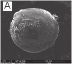 Materiał zeolitowy typu X otrzymany z popiołu lotnego... 27 Rys. 1. Dyfraktogram składu mineralnego popiołu lotnego użytego do syntez. Fig. 1. XRD diffraction pattern mineral composition of fly ash used for synthesis.